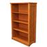 Craftsman 56''H Shelf Bookcase