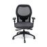 Brentwood Chair