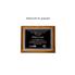 Medium Size Plaque