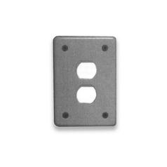 Cover Plate: Single Duplex